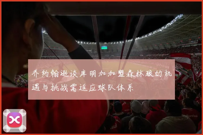 乔约翰逊谈库明加加盟森林狼的机遇与挑战需适应球队体系